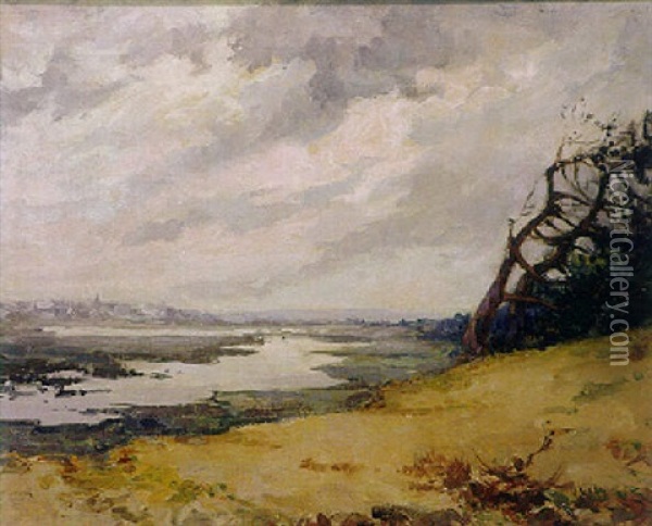 Teichlandschaft Oil Painting - Pierre Waidmann