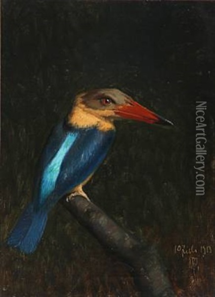 Kingfisher On A Branch Oil Painting - Niels Peter Rasmussen