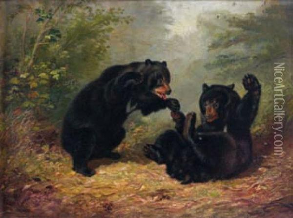 Les Ours Oil Painting - Arthur Fitzwilliam Tait