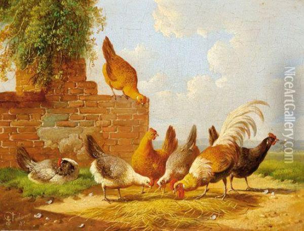 Poultry Oil Painting - Albertus Verhoesen