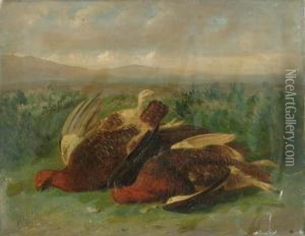 A Brace Of Grouse On A Moor Oil Painting - Stephen E. Hogley