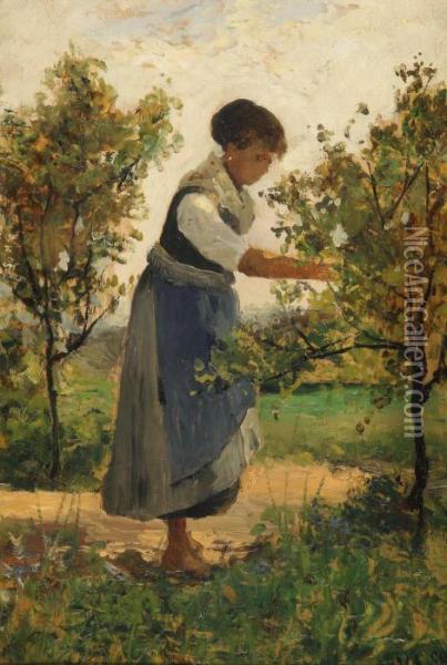 Fanciulla Che Raccoglie La Frutta Nel Giardino Oil Painting - Lorenzo Delleani