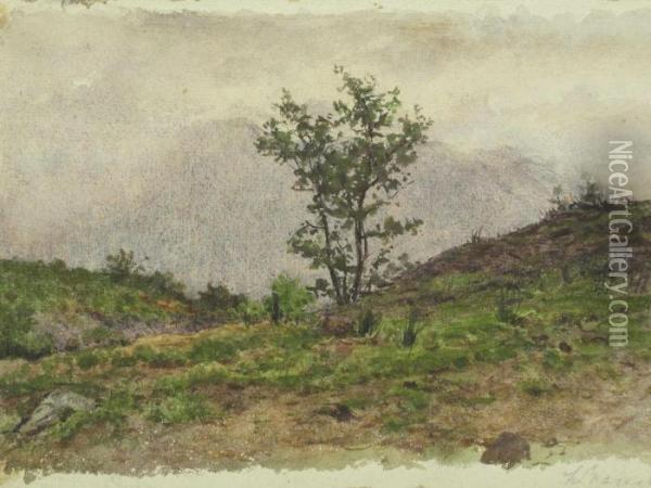 Paesaggio Di Montagna Oil Painting - Luigi Bianchi