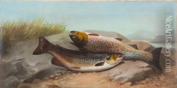 A Brace Of Trout Oil Painting - John Russell