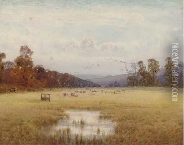 Sunlit Fields Oil Painting - Helen O'Hara