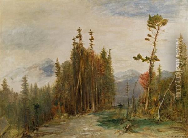 Forest Near Gutenstein Oil Painting - Victor Jasper