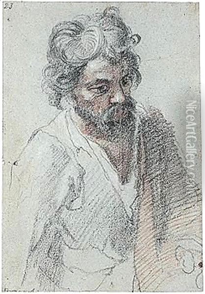 Half-length Study Of A Bearded Man Oil Painting - Cristofano Allori