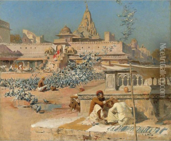 Feeding The Sacred Pigeons, Jaipur Oil Painting - Edwin Lord Weeks