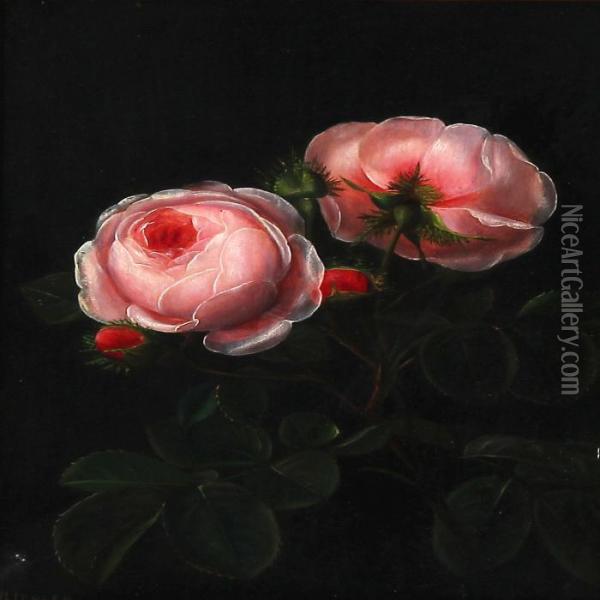 Newly Sprouted Pink Roses Oil Painting - I.L. Jensen