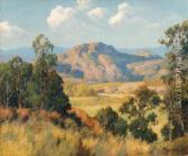 Mountains And Eucalyptus Oil Painting - Maurice Braun