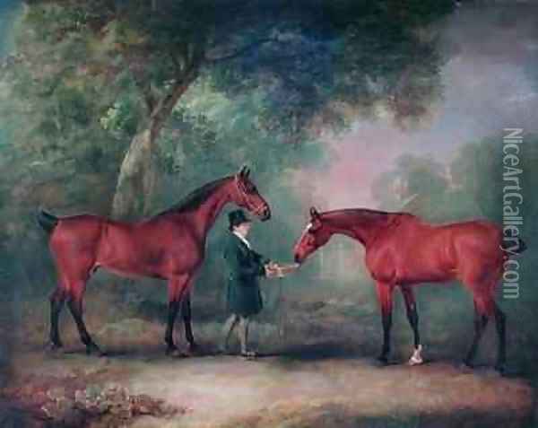 Hunters being fed by a Groom in a Woodland Setting Oil Painting - John Snr Ferneley