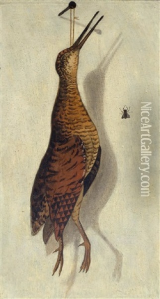 Trompe 'oeil With A Snipe And A Fly Oil Painting - F.A. Brandel