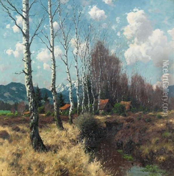 Landschaft Mit Bachlauf Und Birken In Den Voralpen Oil Painting - Karl Schaette