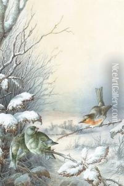 A Robin And A Greenfinch In A Snowy Hedgerow, A Winter Landscape Beyond Oil Painting - Harry Bright