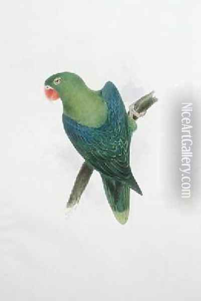 Green Parrot Oil Painting - Edward Lear