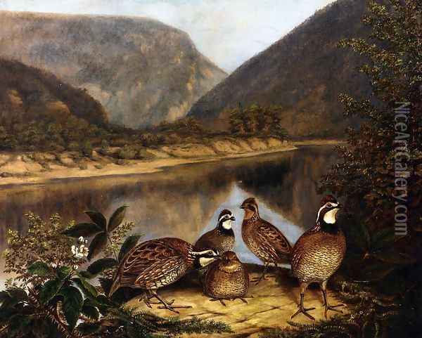 Five Bobwhites at the Delaware Water Gap Oil Painting - Titian Ramsay Peale