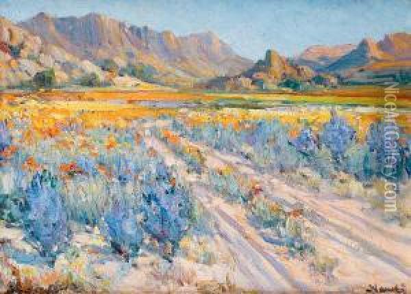 Namaqualand In Bloom Oil Painting - Hugo Pieter Naude
