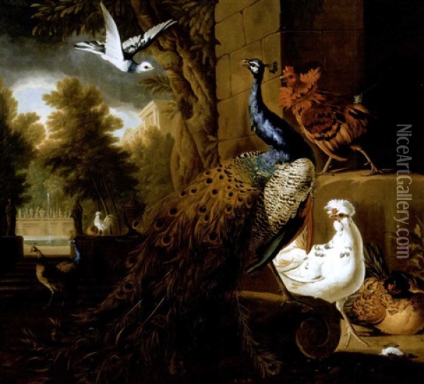 A Peacock And Chickens With Other Birds Beyond In The Garden Of A Neoclassical Villa Oil Painting - Pieter Casteels III