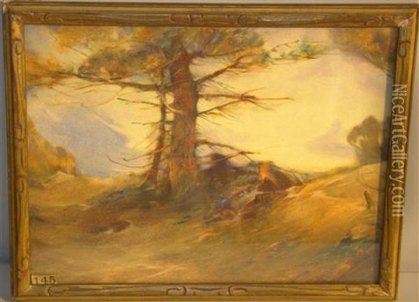 Diffused Shadow Under Pine Tree Oil Painting - John Wesley Little
