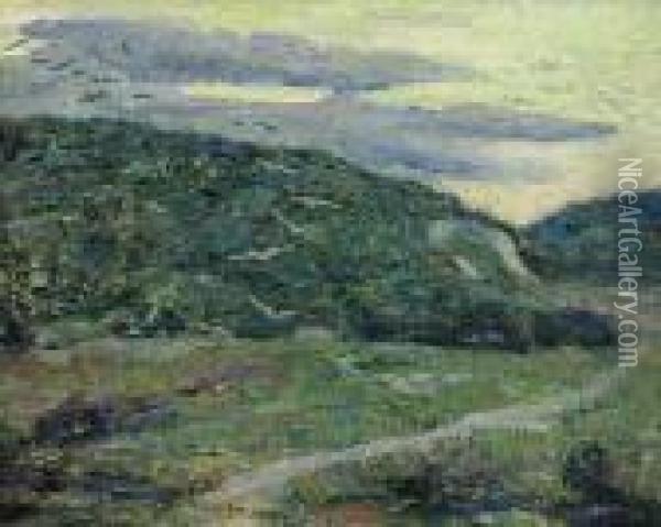Seagulls By The Coast Oil Painting - Ernest Lawson