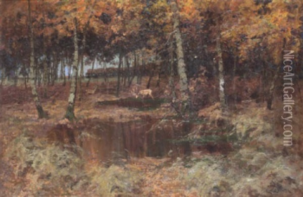 Buchenwald Im Herbst Oil Painting - Elisabeth Von Eicken