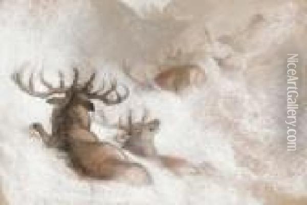 Stags In A Snowdrift Oil Painting - Landseer, Sir Edwin