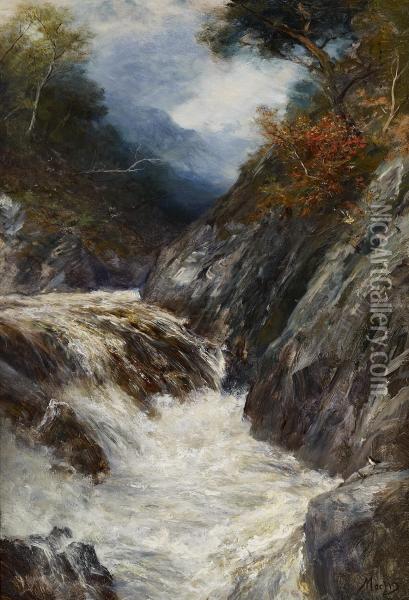A Highland Stream In Spate Oil Painting - John MacWhirter