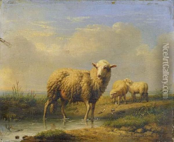 Landschap Met Schapen (1845) Oil Painting - Eugene Joseph Verboeckhoven