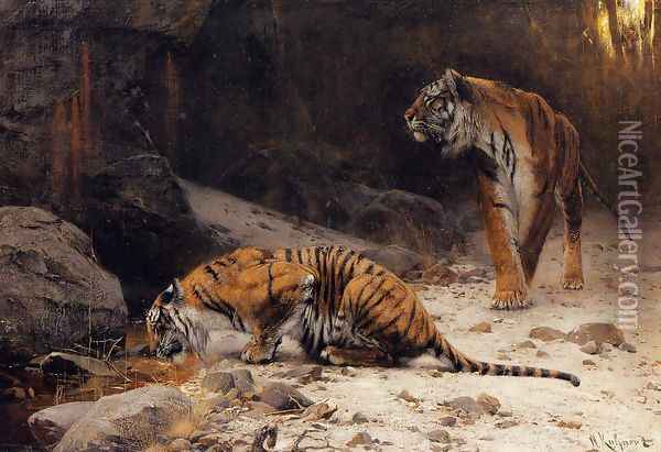 Tigers at a Drinking Pool Oil Painting - Wilhelm Kuhnert