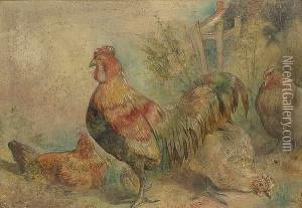 A Cockerel And Three Hens Oil Painting - William Huggins