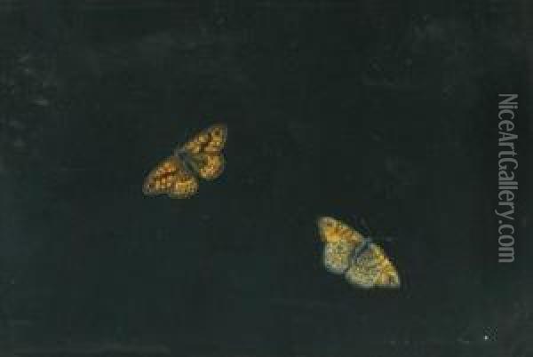 Due Farfalle Oil Painting - Giovanna Garzoni