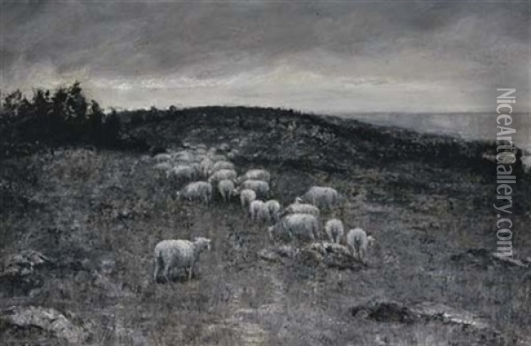 Sheep Grazing In The Countryside Oil Painting - William Sterna Barrett