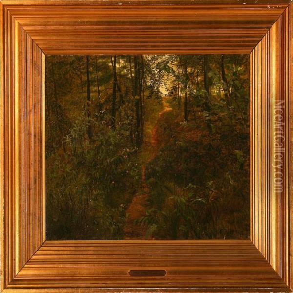 Forest Scene Oil Painting - Christian Zacho