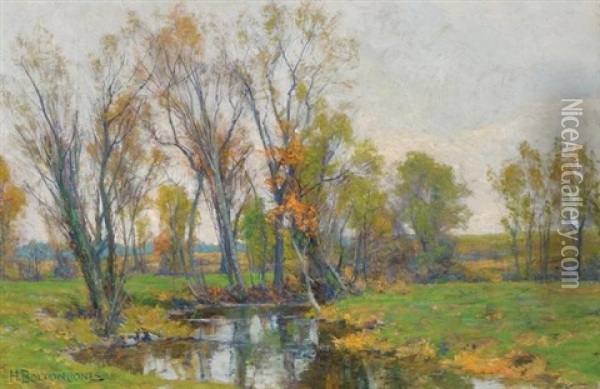 Spring Landscape With Pond And Trees Oil Painting - Hugh Bolton Jones