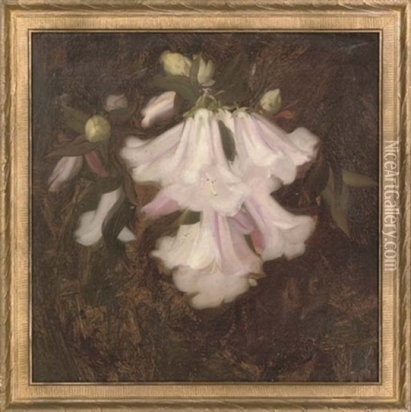 Flower Study Oil Painting - Stuart James Park