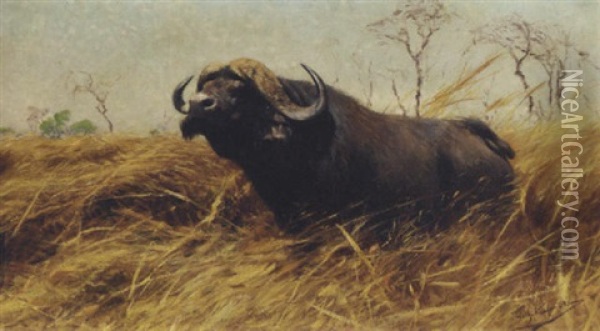 An African Buffalo Oil Painting - Wilhelm Friedrich Kuhnert