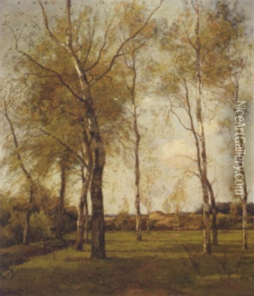 Schaapskooi - October: Birch Trees By The Dunes In Autumn Oil Painting - Theophile De Bock
