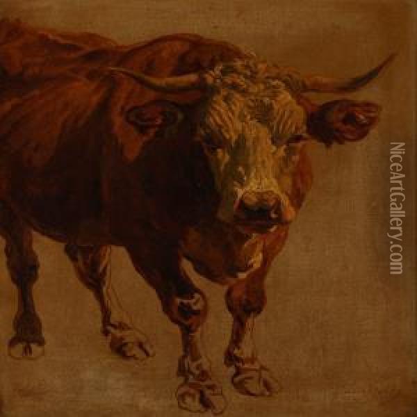 A Bull Oil Painting - Friedrich Johann Voltz