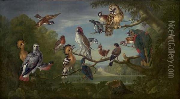 A Concert Of Birds Oil Painting - Pieter III Casteels