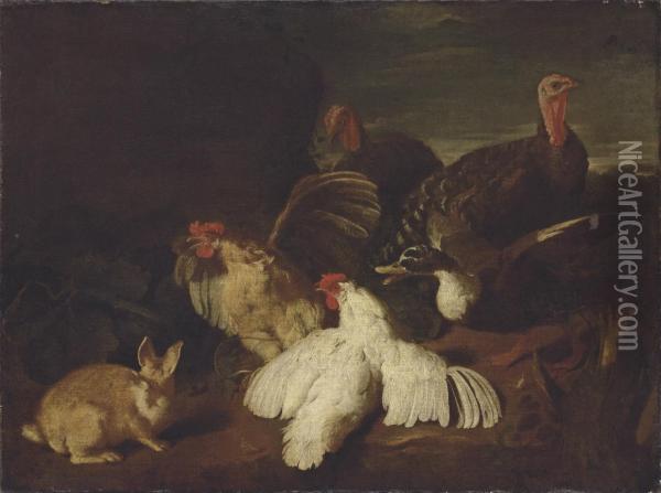 Hens, Turkeys, A Duck And A Rabbit, In A Park Landscape Oil Painting - Giovanni Agostino Cassana