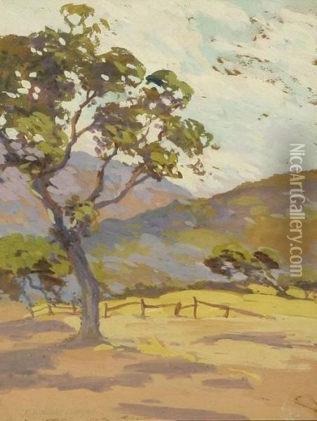 Up Carmel Valley Oil Painting - Mary Deneale Morgan