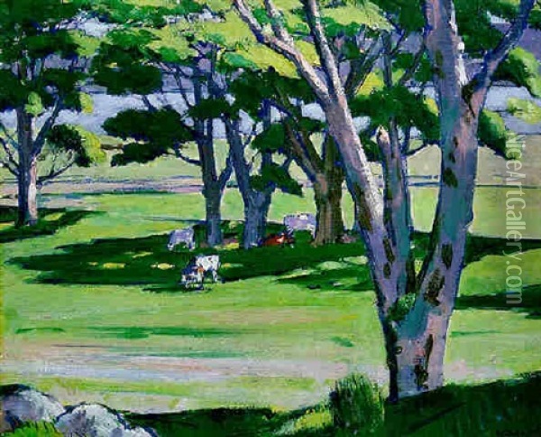 Summer In The Park Oil Painting - Francis Campbell Boileau Cadell