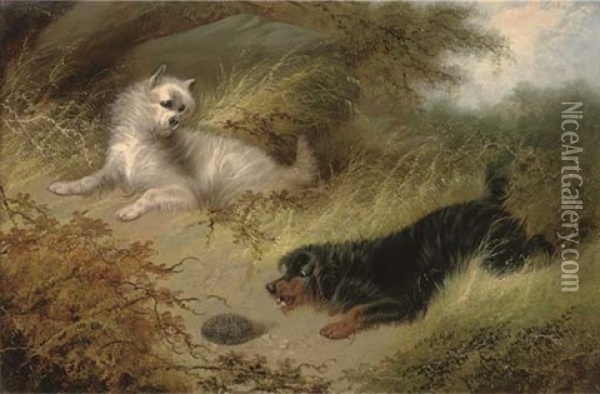 Inquisitive Terriers With A Hedgehog Oil Painting - Edward Armfield