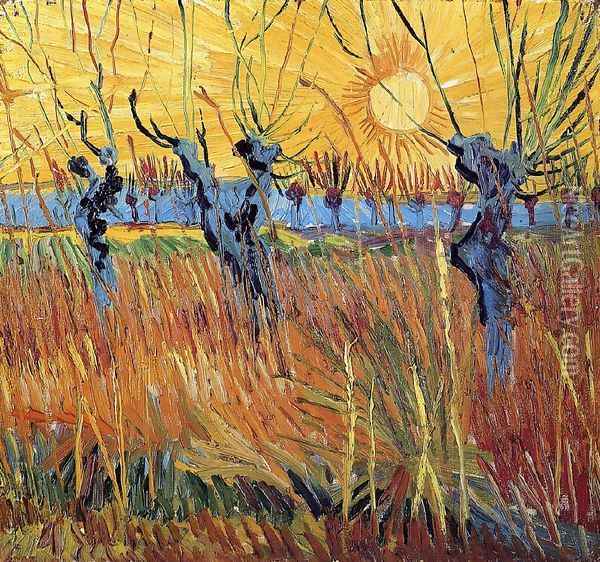 Pollard Willow with Setting Sun Oil Painting - Vincent Van Gogh
