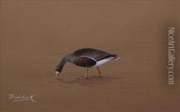White Fronted Goose 'fish Hawke' Oil Painting - David Knightley Wolfe-Murray