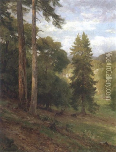 Waldlichting Bei Merkenstein Oil Painting - Hugo Darnaut
