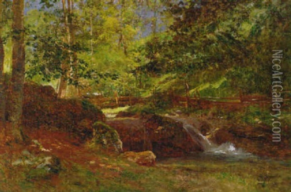 Sunlit Forest Stream Oil Painting - Aaron Allan Edson