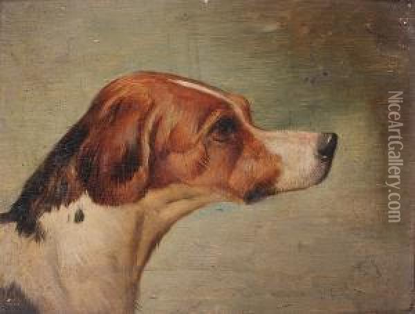 Head Of A Hound Oil Painting - Edwin Loder