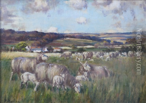 Spring Pasture Oil Painting - Henry Morley