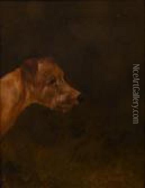 Irish Terrier Oil Painting - Colin Graeme Roe